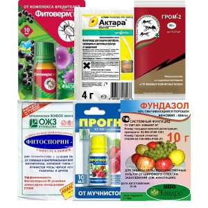 Фунгициды и инсектициды